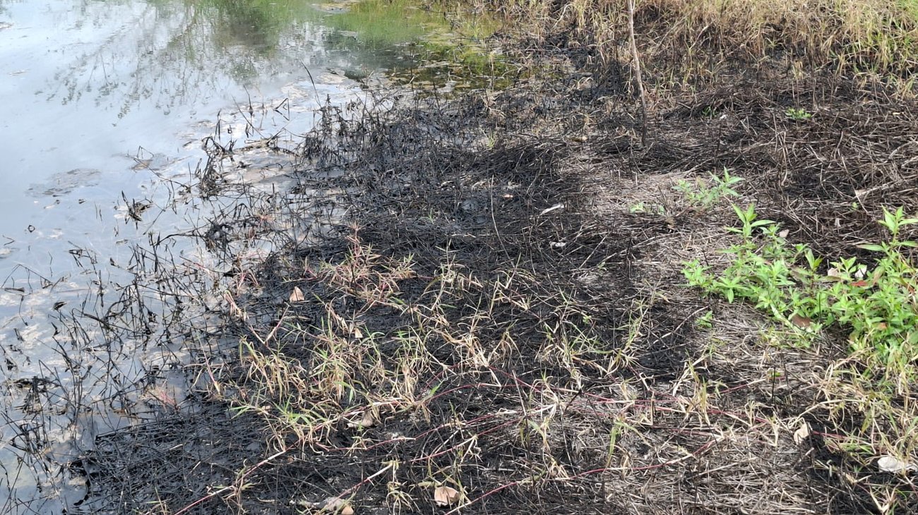 Altamira registra al menos 30 fugas de hidrocarburo en tres años