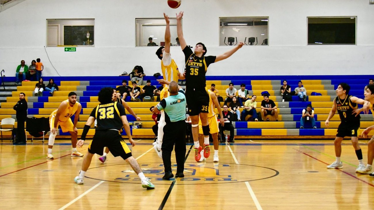 Whats_App_Image_2026_02_11_at_1_09_57_AM_dd62f50708