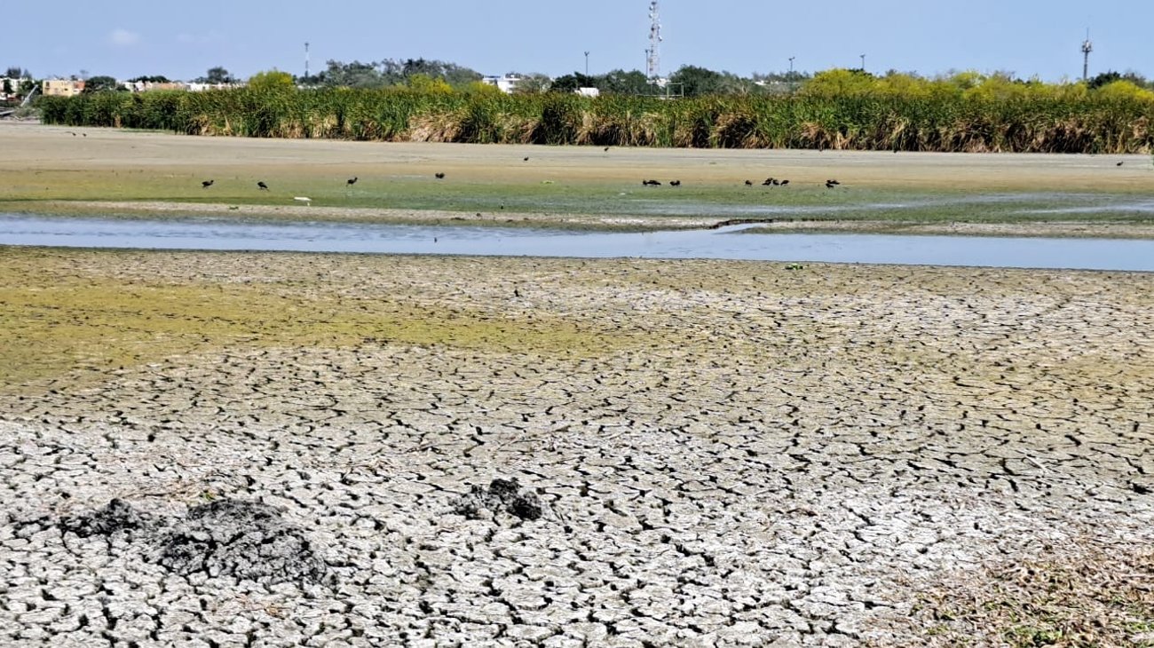 Whats_App_Image_2026_02_12_at_4_13_29_PM_f80823fec6