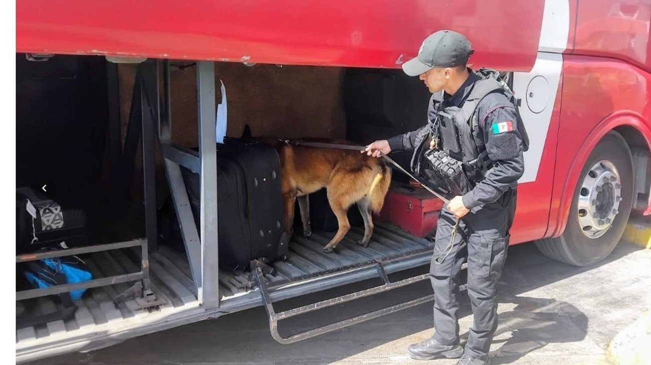 Whats_App_Image_2026_02_19_at_1_46_14_PM_014f292e55