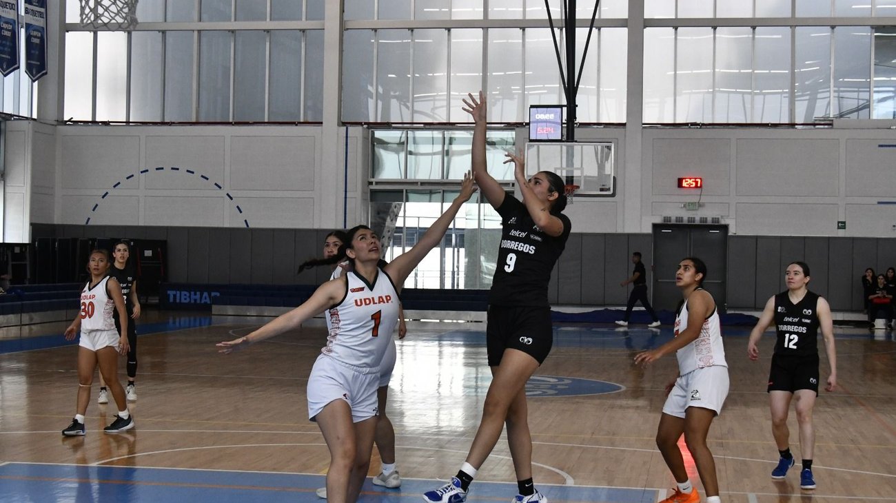 Whats_App_Image_2026_02_20_at_12_20_43_AM_5c053be11c