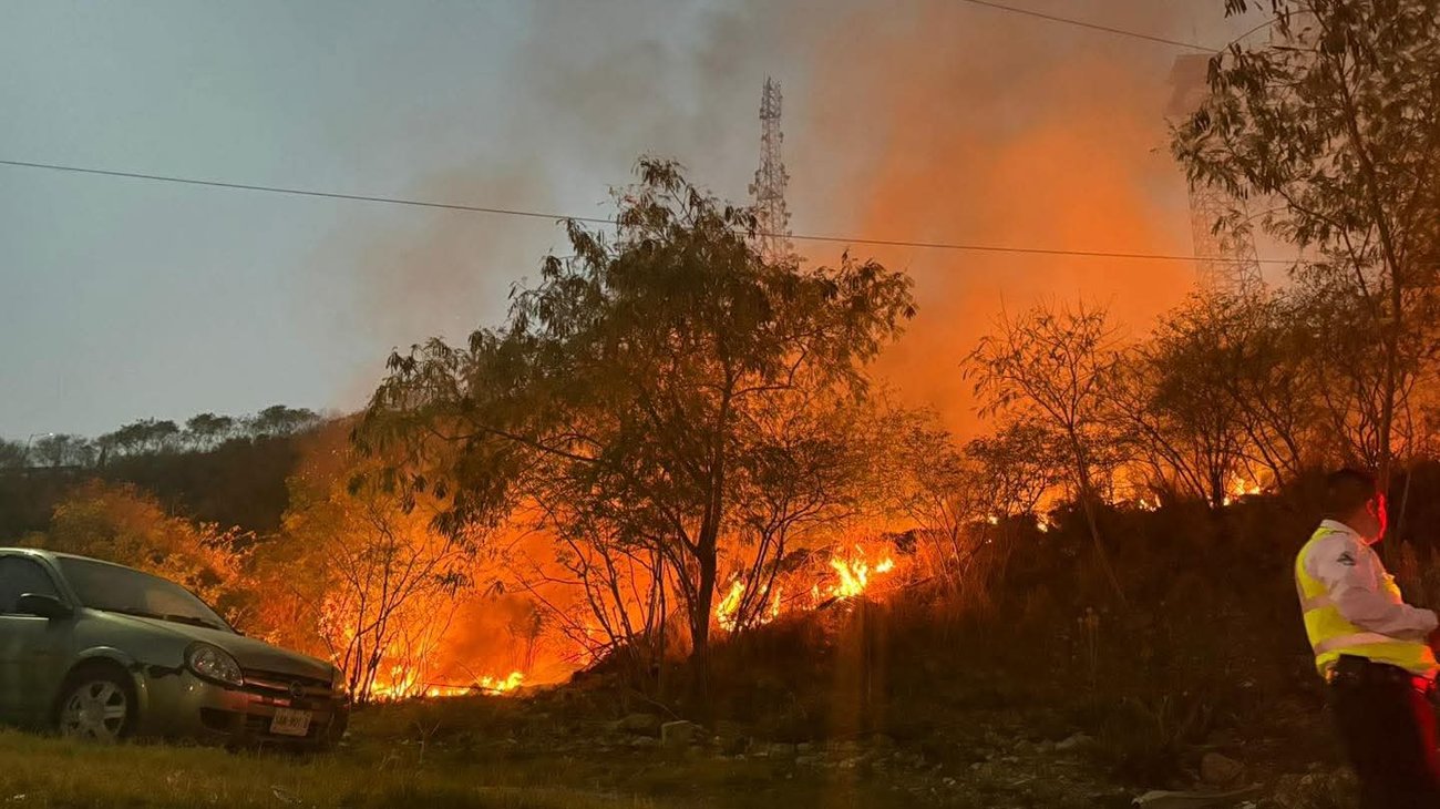 Whats_App_Image_2026_02_20_at_7_25_25_PM_354e736330