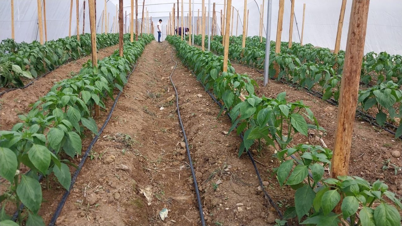 Llama Conagua a regularizar concesiones de agua en NL y Coahuila