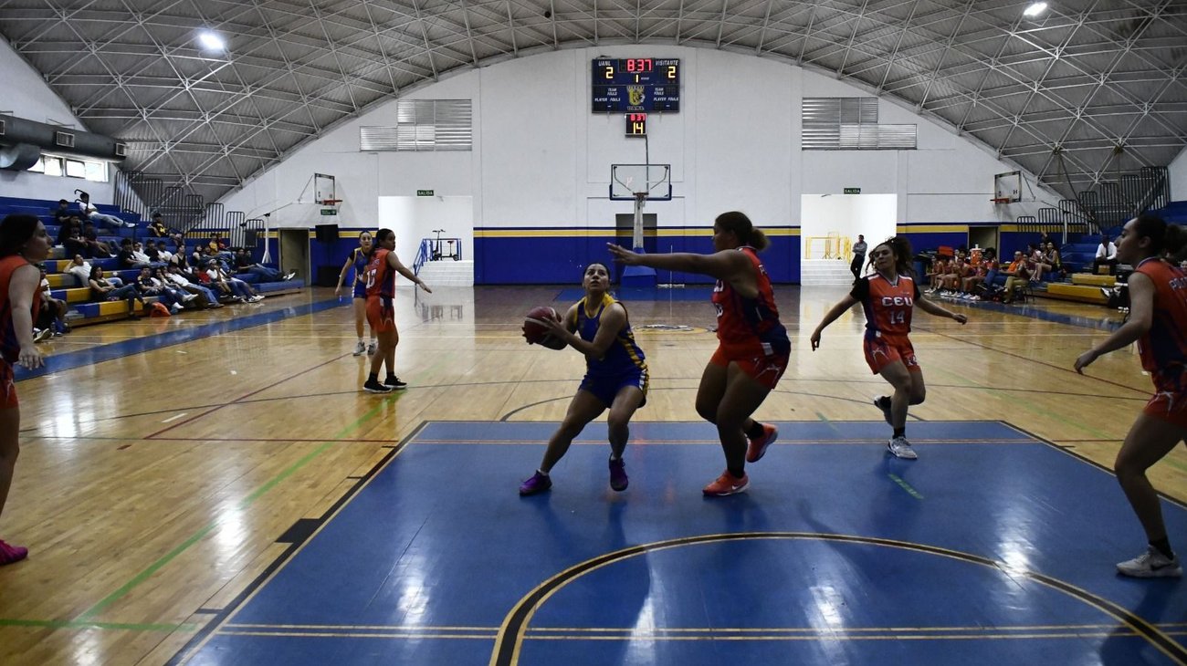 Whats_App_Image_2026_02_27_at_1_51_47_AM_4d3ccb8daf