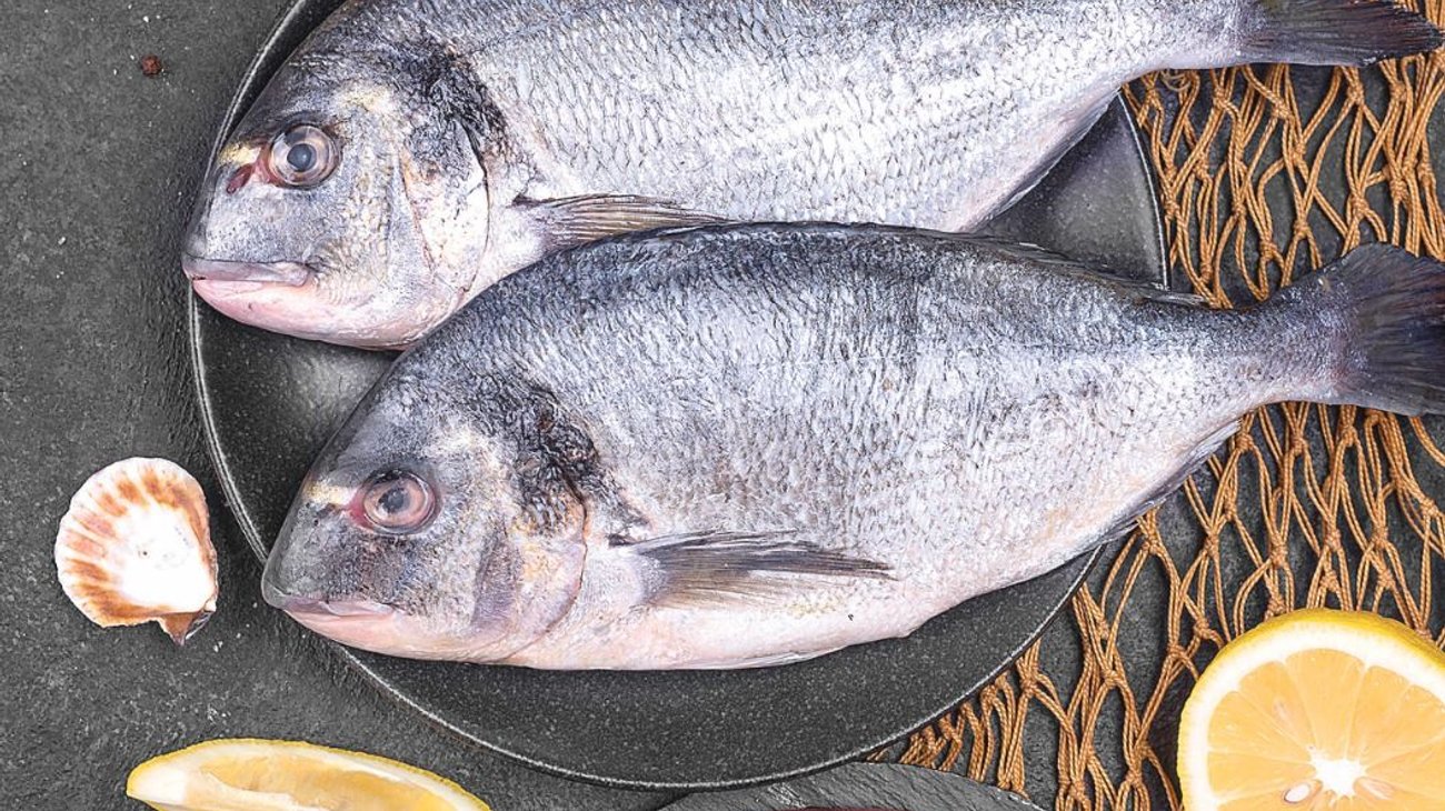 Whats_App_Image_2026_03_03_at_2_33_57_PM_4cf699bcec