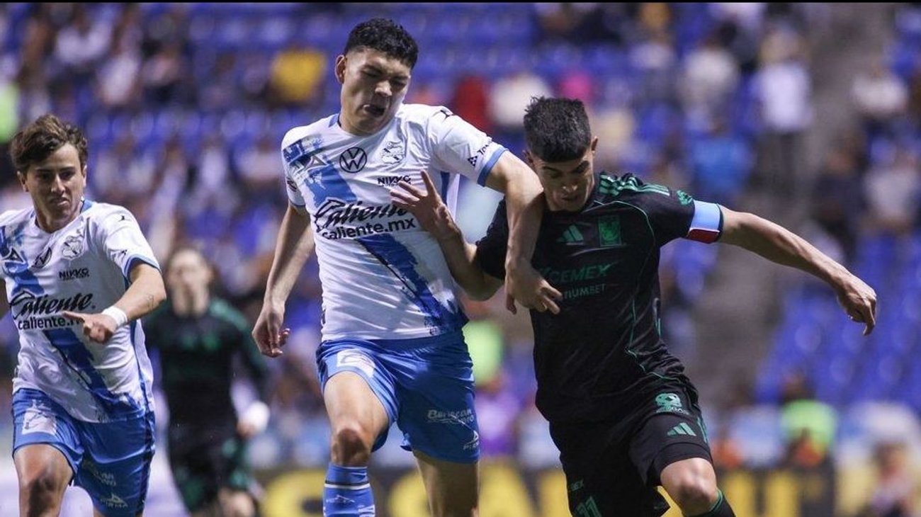 Whats_App_Image_2026_03_04_at_9_02_52_PM_84adff771c