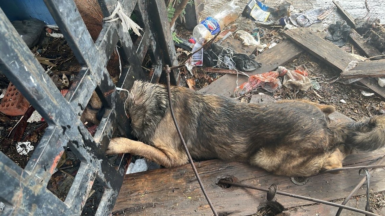 Whats_App_Image_2026_03_07_at_2_03_17_PM_50a8d5ea00