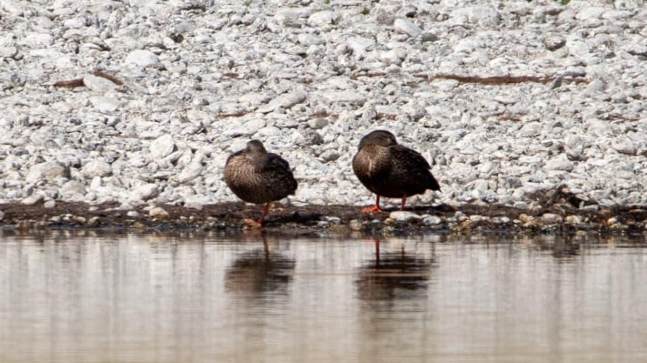 Whats_App_Image_2026_03_09_at_3_25_37_PM_b56785a840