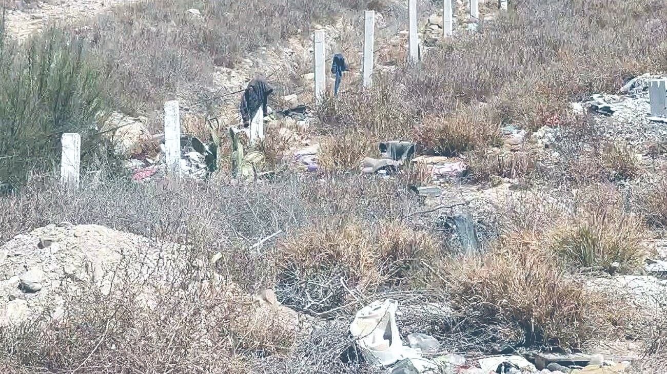 Whats_App_Image_2026_03_10_at_2_13_22_AM_1d8a615ffc