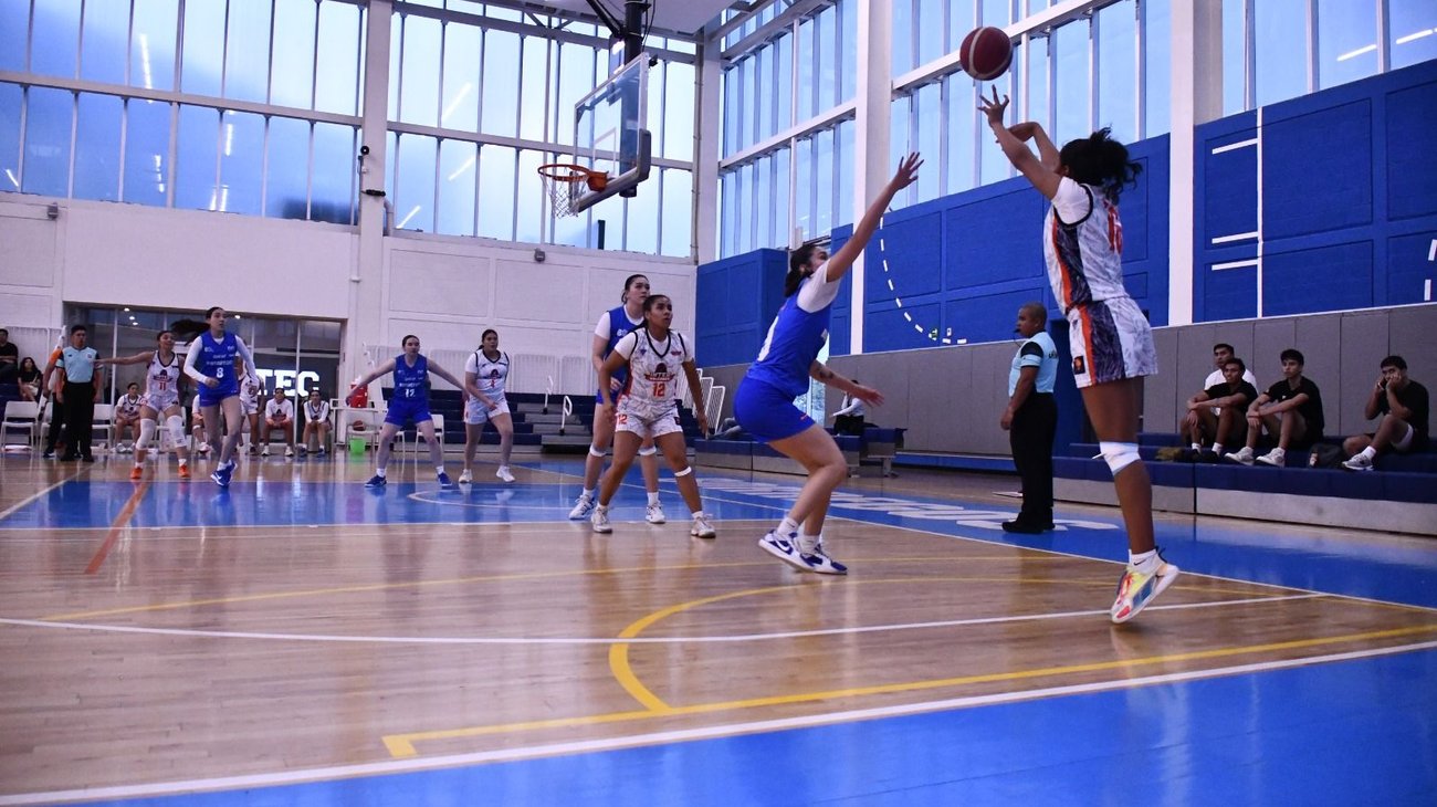 Whats_App_Image_2026_03_11_at_1_38_10_AM_11fe069e3c