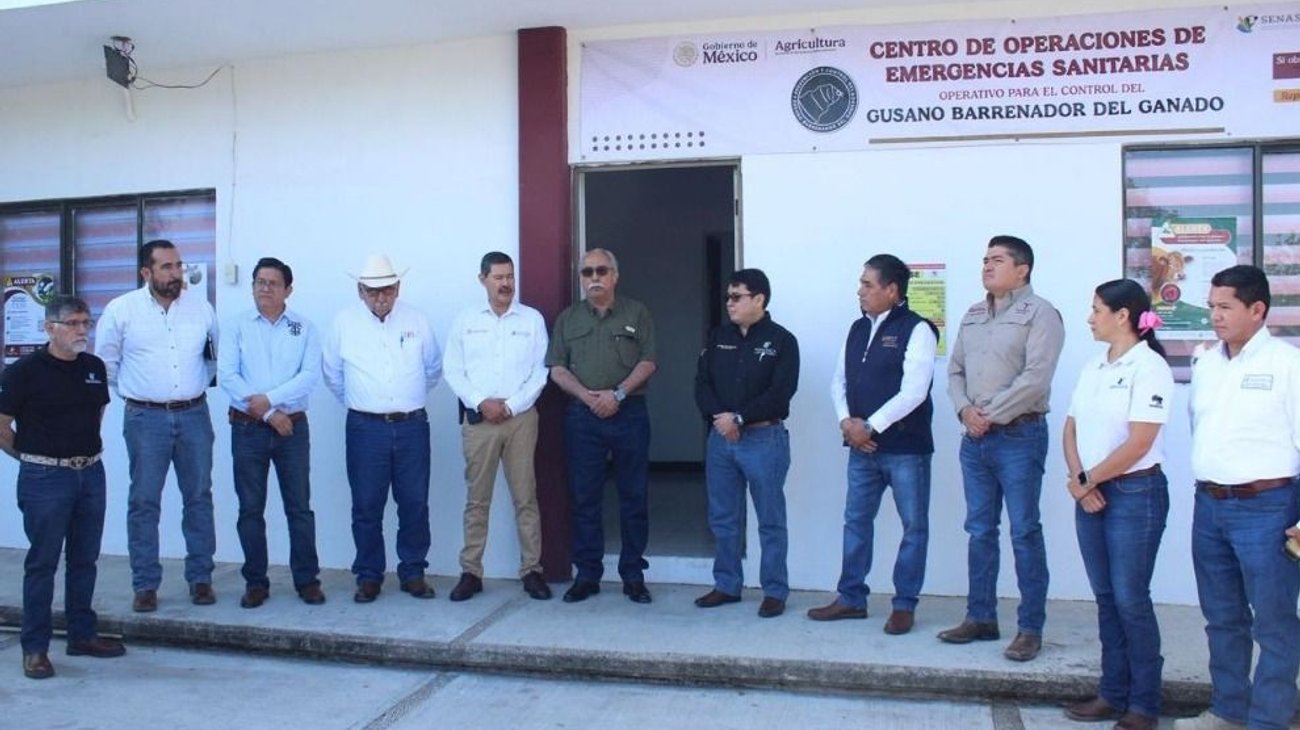 Whats_App_Image_2026_03_12_at_3_06_23_PM_d2b8dea1bb