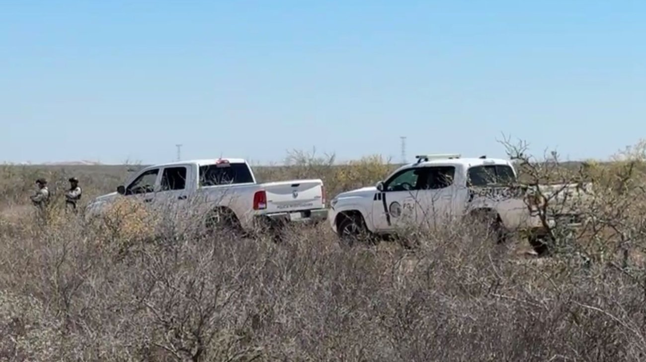 Whats_App_Image_2026_03_12_at_3_08_30_PM_e34f509190