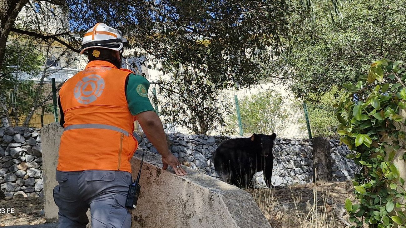 Whats_App_Image_2026_03_12_at_4_02_04_PM_b27e76a959