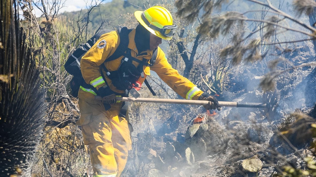 Altas temperaturas elevan riesgo de incendios en Nuevo León