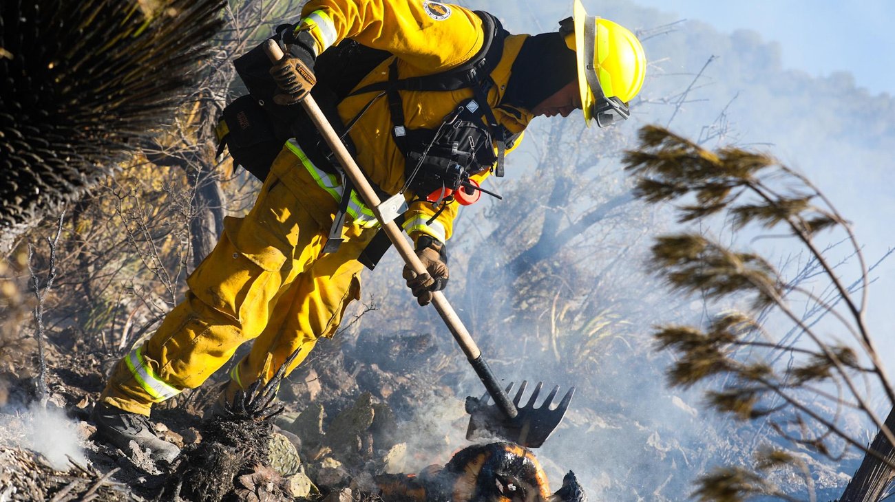 Whats_App_Image_2026_03_14_at_19_17_17_d9be3f410f