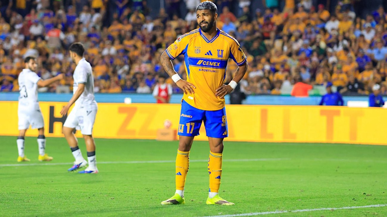 Whats_App_Image_2026_03_15_at_7_25_21_PM_6b2384ebff