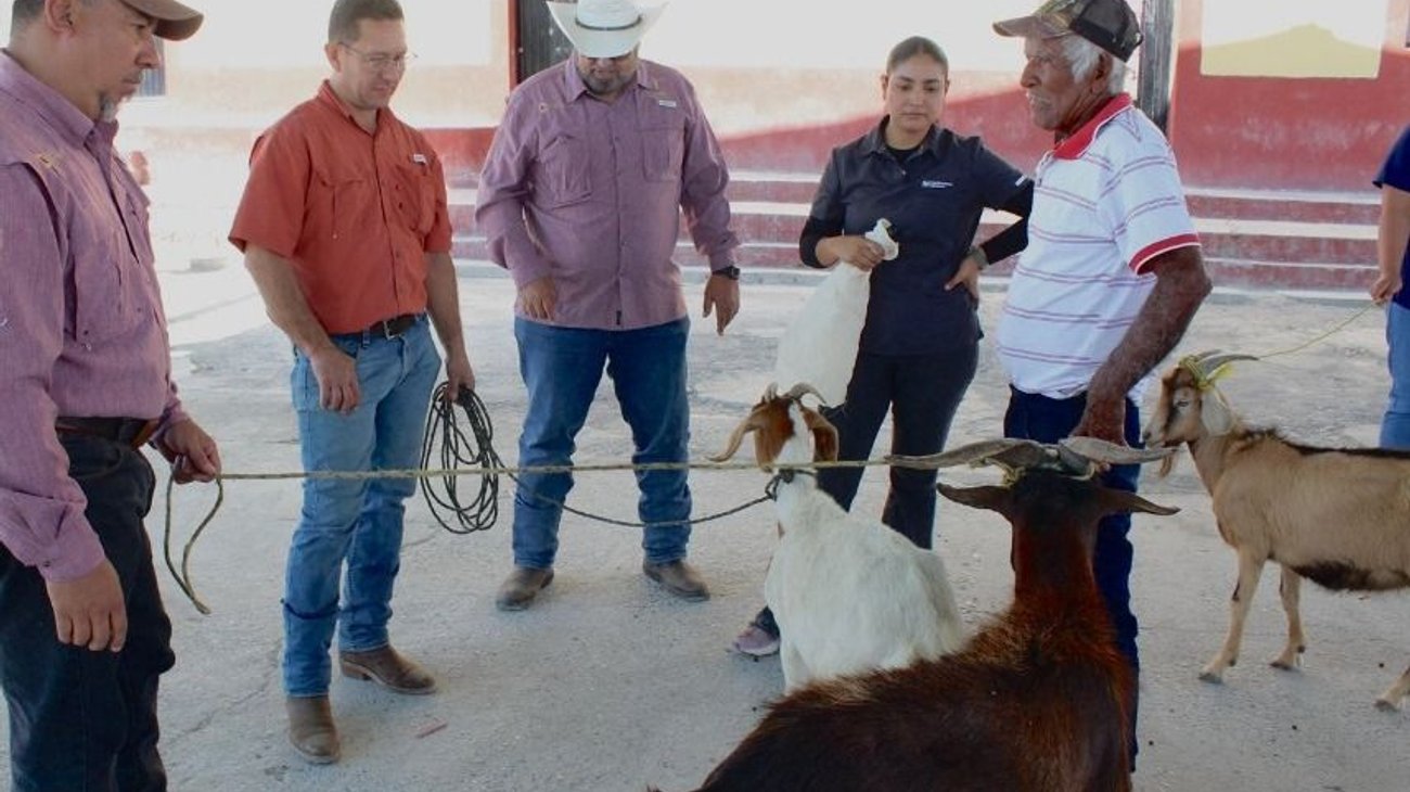 Whats_App_Image_2026_03_17_at_2_02_54_PM_57c74b8f4f