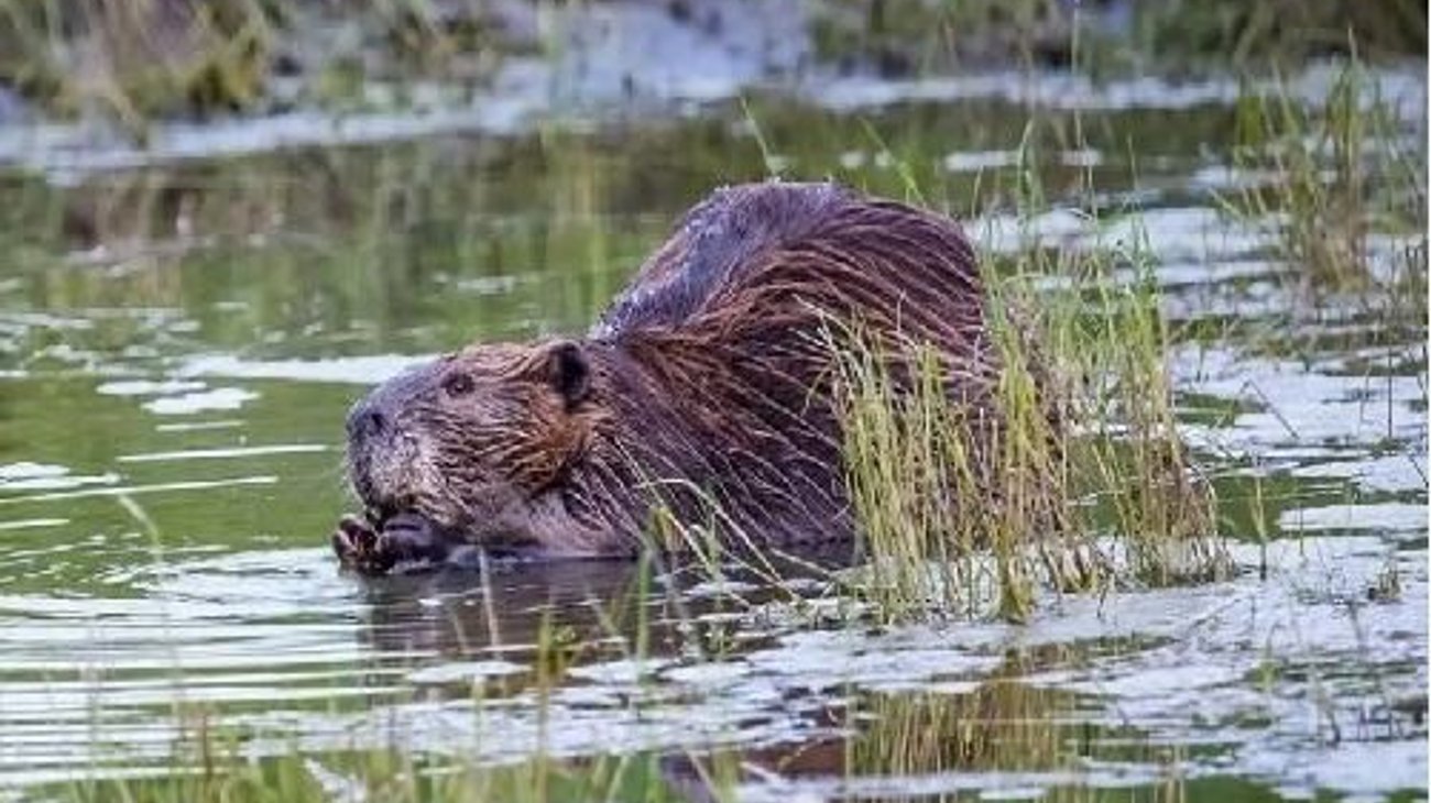 Whats_App_Image_2026_03_17_at_3_40_53_PM_287691c585