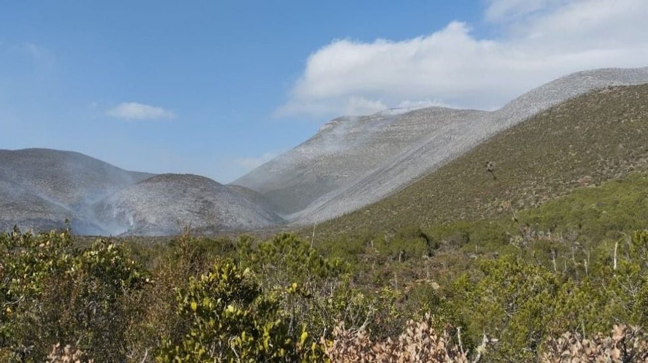 Protección Civil combate incendio forestal en Bustamante