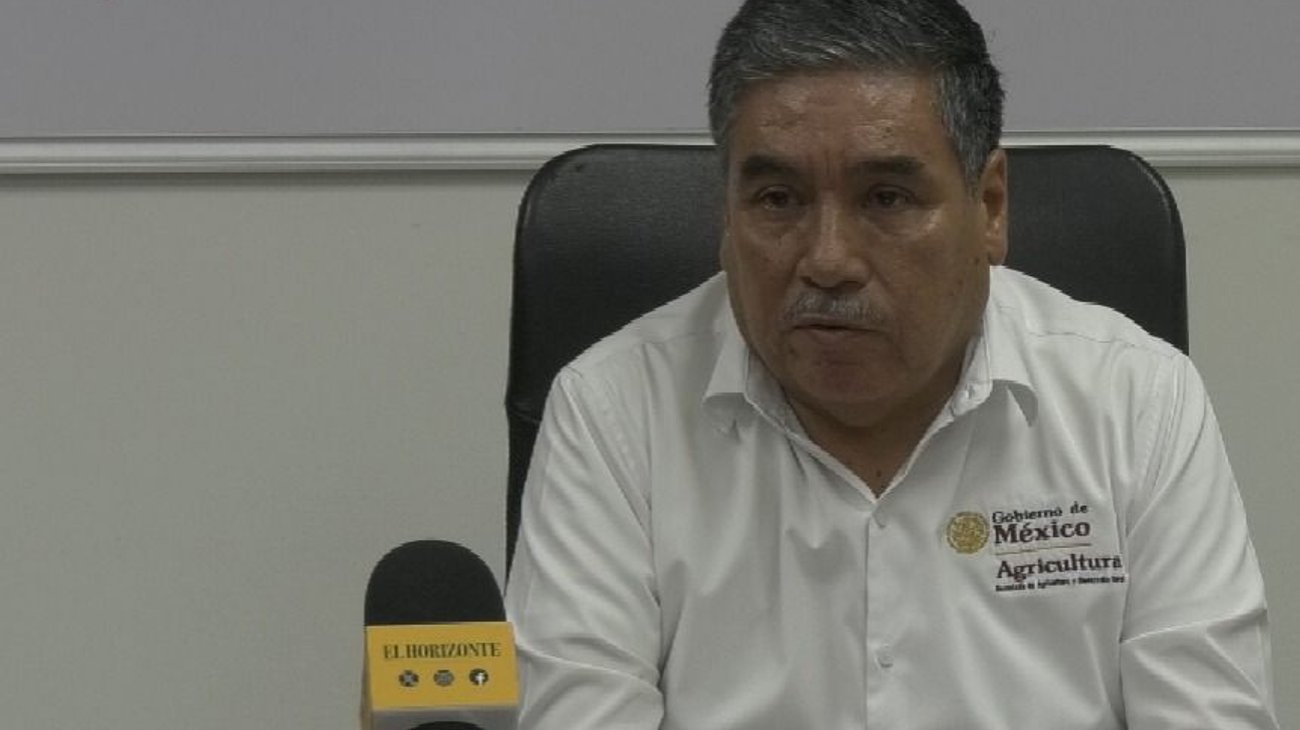 Whats_App_Image_2026_03_20_at_4_17_43_PM_1496d5495b