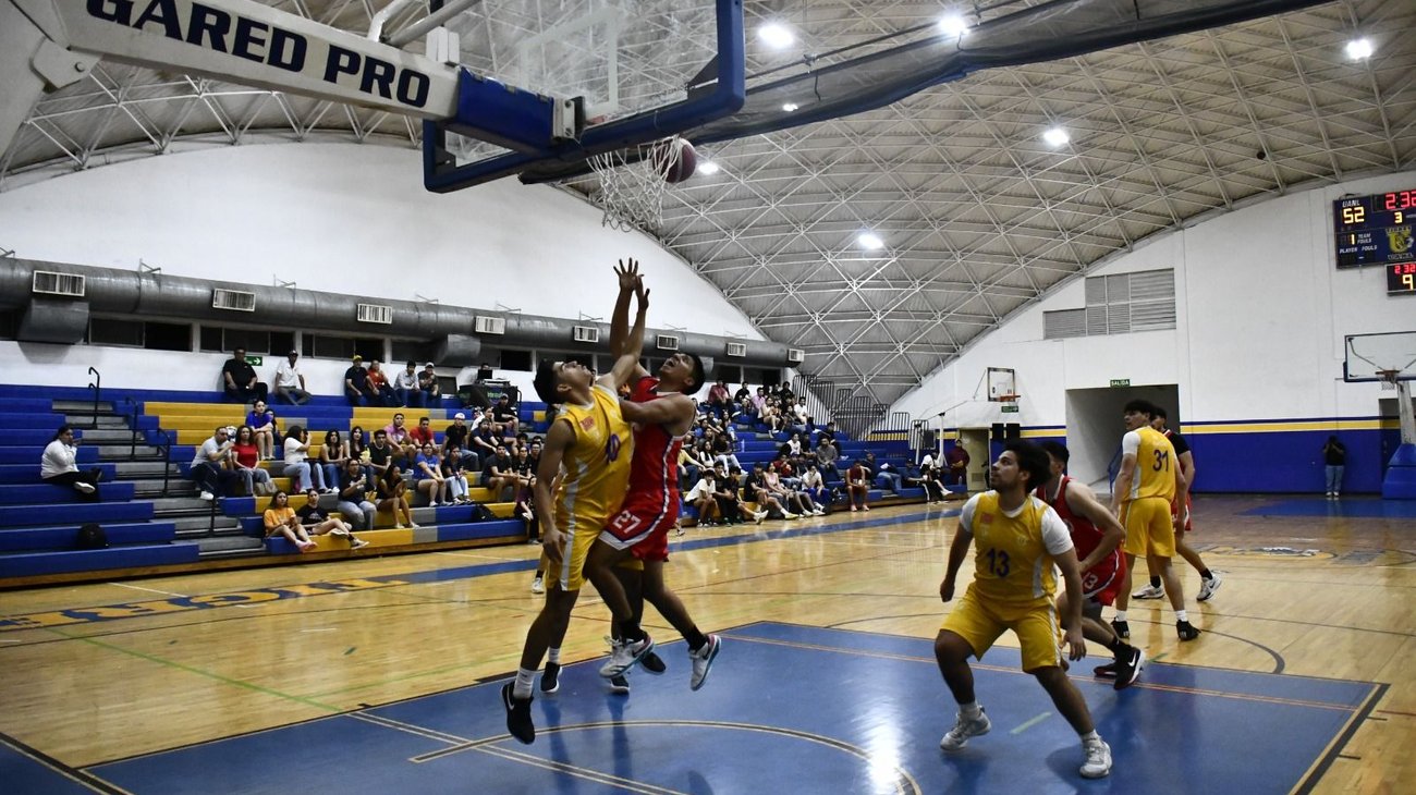 Whats_App_Image_2026_03_25_at_1_34_20_AM_d00ef0c98e