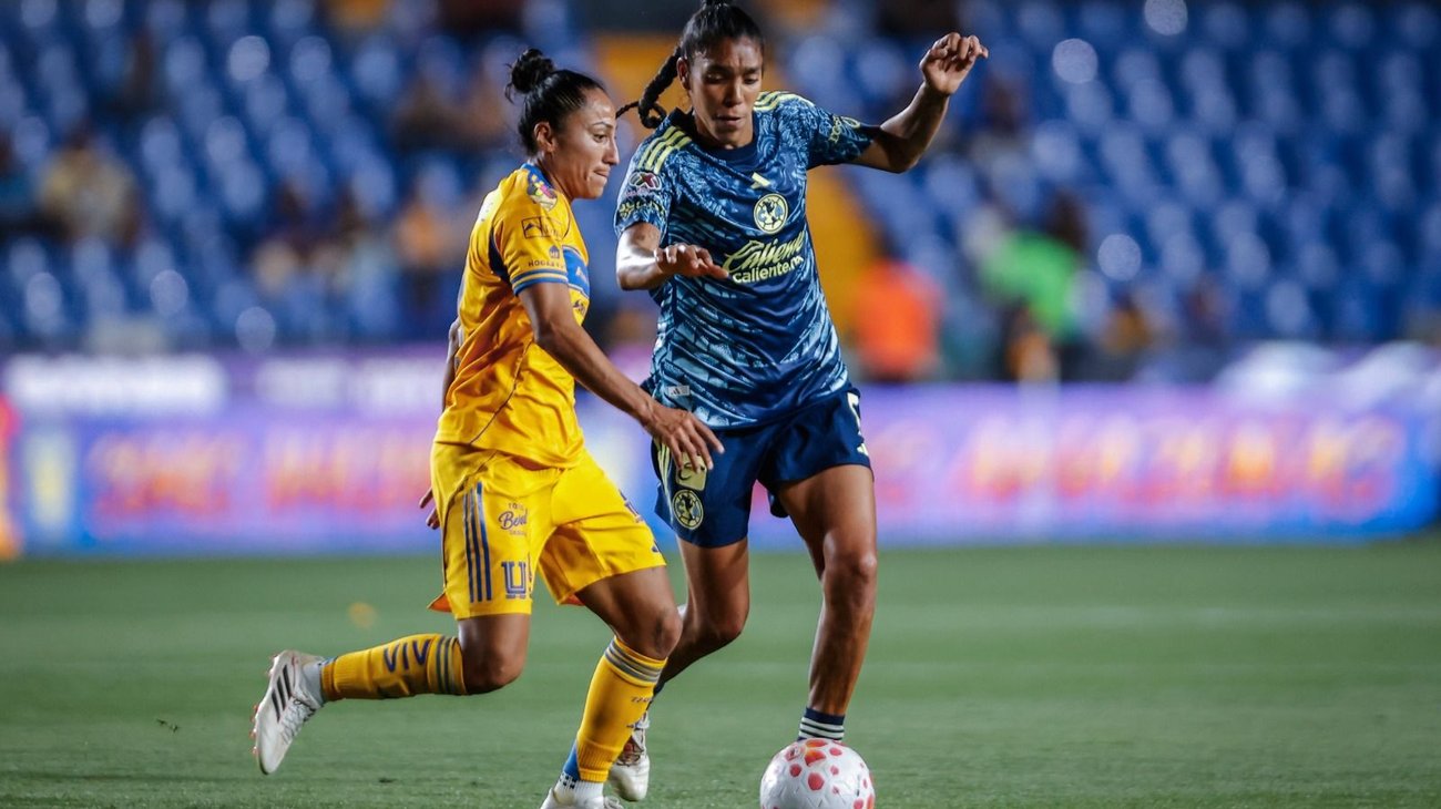 Whats_App_Image_2026_03_25_at_9_32_43_PM_32867a7310