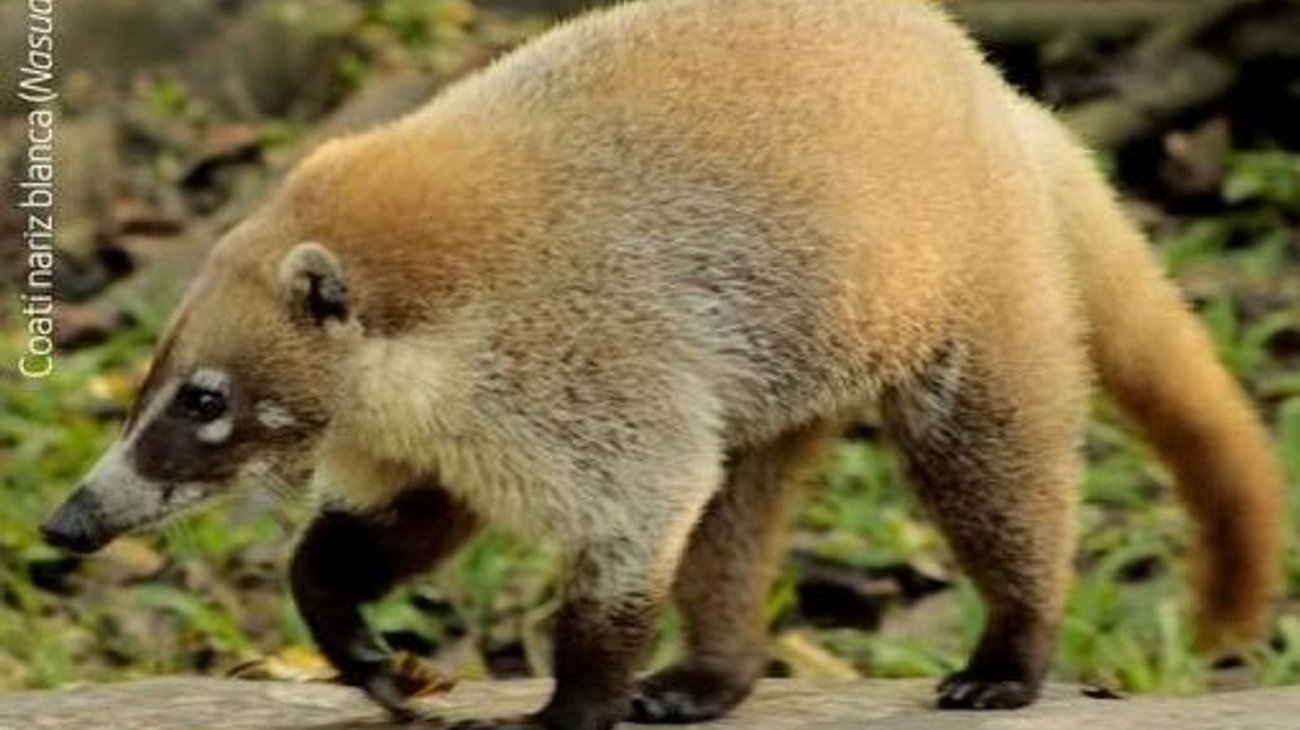 Whats_App_Image_2026_03_26_at_10_22_52_PM_17d2d7d077