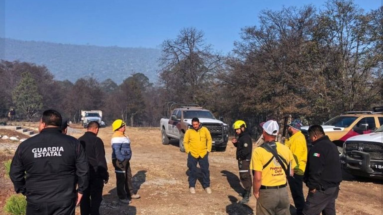 Whats_App_Image_2026_03_30_at_13_37_59_a5fddad4dc