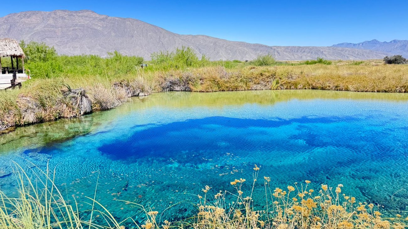 Acuíferos de Cuatro Ciénegas en crisis por 200 concesiones 