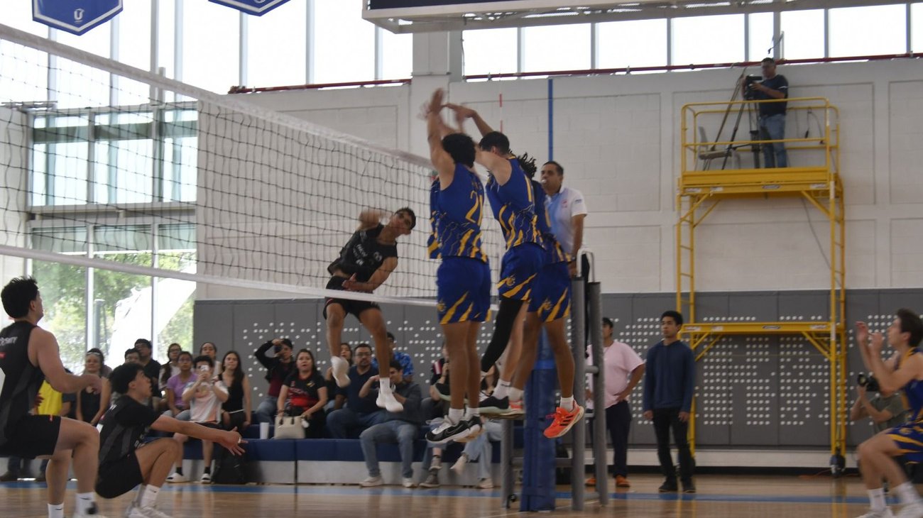 Whats_App_Image_2026_04_02_at_12_47_31_AM_1d82e8fd19