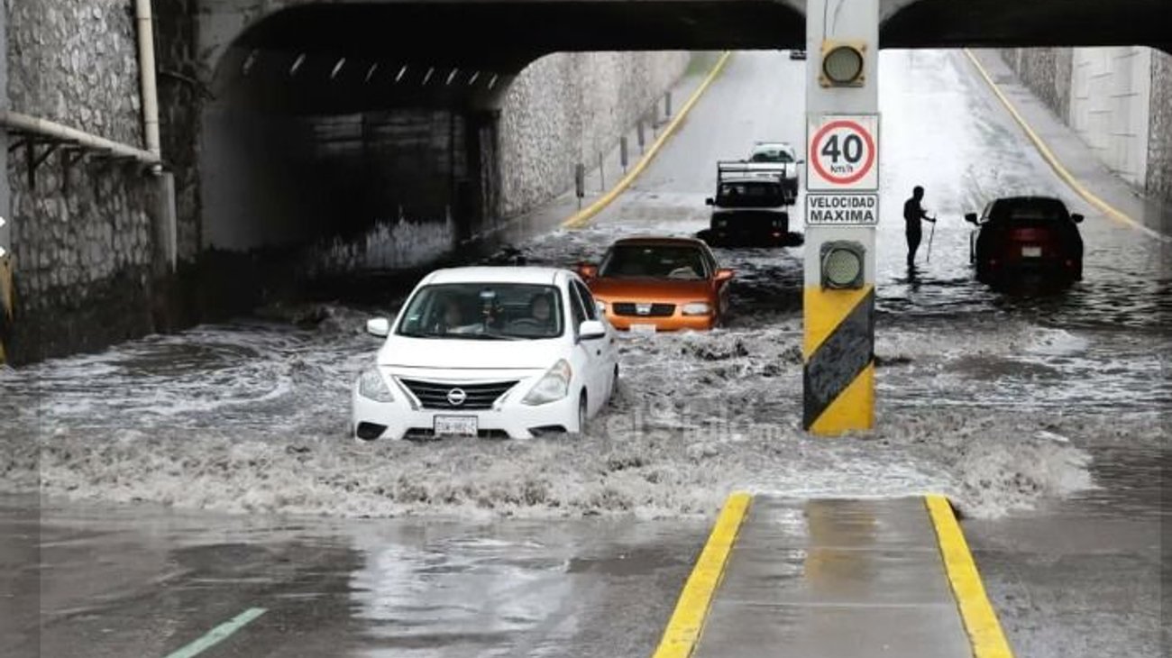 Whats_App_Image_2026_04_06_at_12_07_47_AM_23afdba5c4