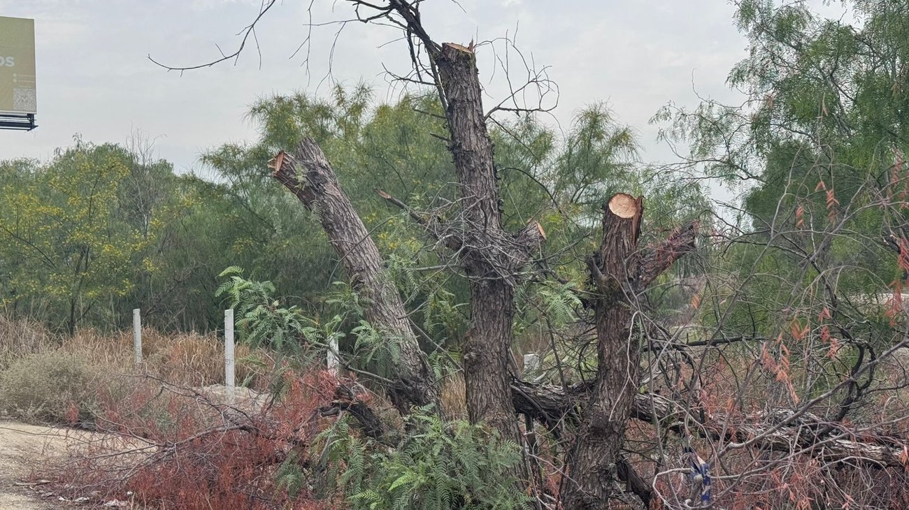 Whats_App_Image_2026_04_08_at_09_46_06_93cef8e6c4