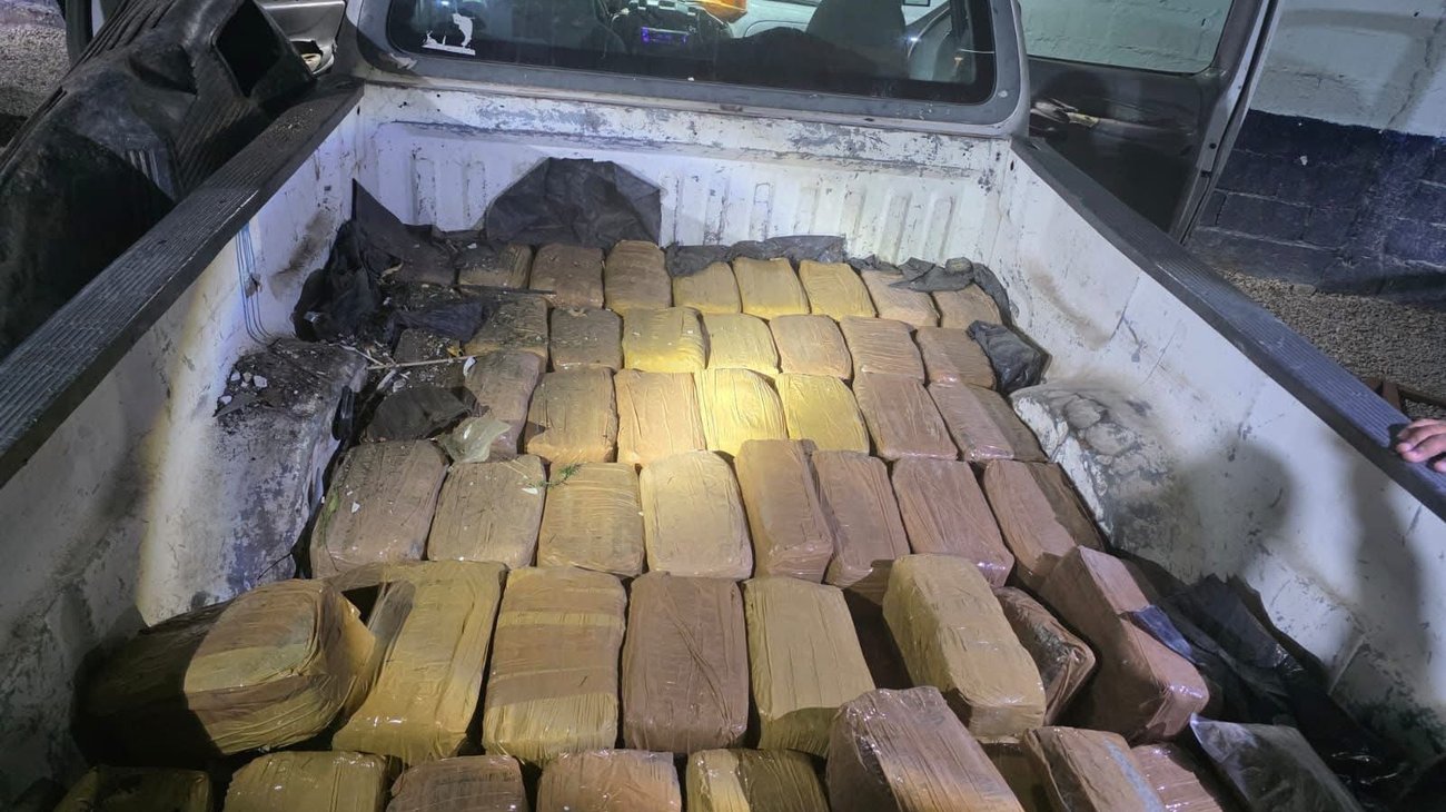Decomisan 100 kg de marihuana en operativo en Coahuila