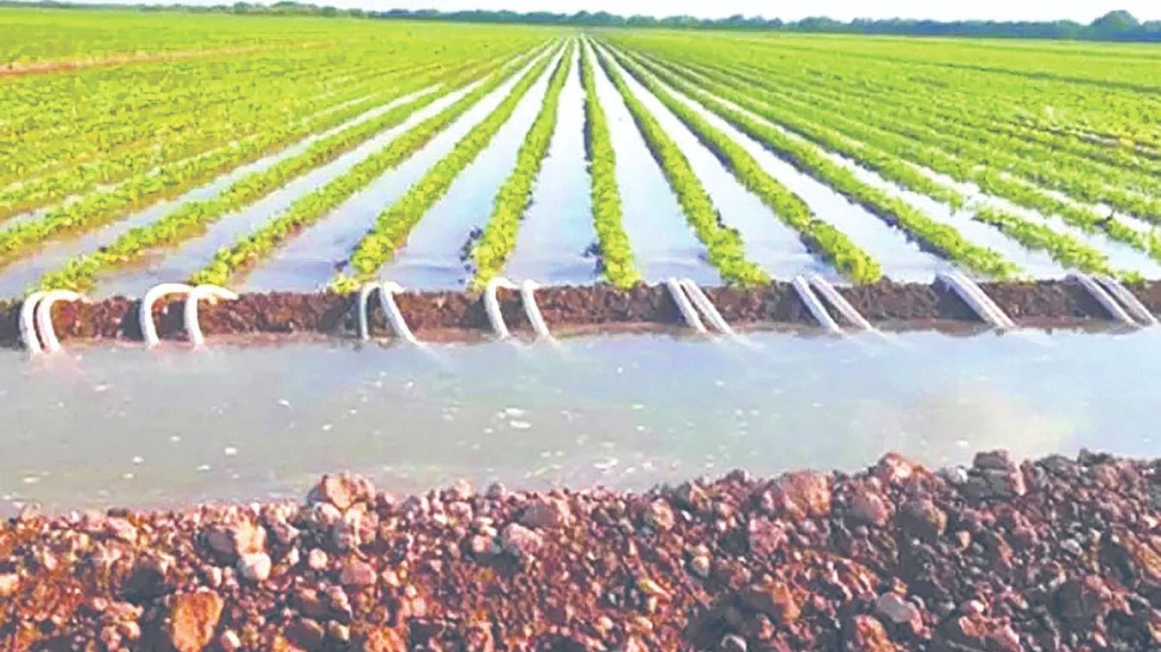 Whats_App_Image_2026_04_15_at_12_28_40_AM_17546b1615