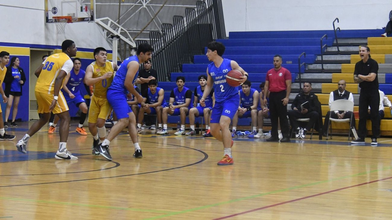 Whats_App_Image_2026_04_16_at_1_40_25_AM_9f829be1e3