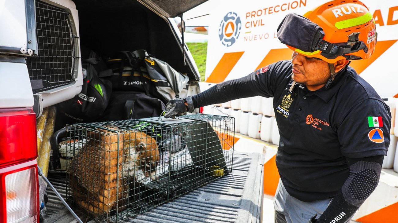 Whats_App_Image_2026_04_17_at_11_54_29_AM_1_486cd0c38f