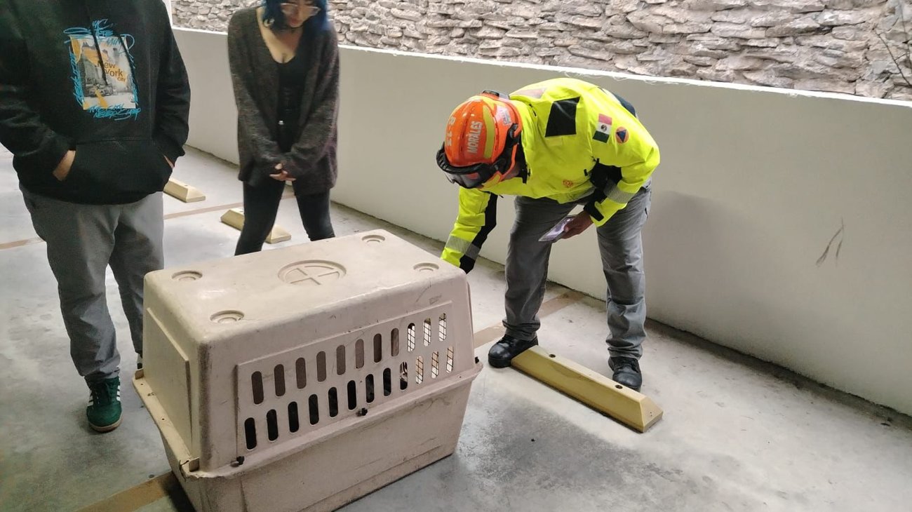 Whats_App_Image_2026_04_19_at_7_08_07_PM_38f11f6dd1