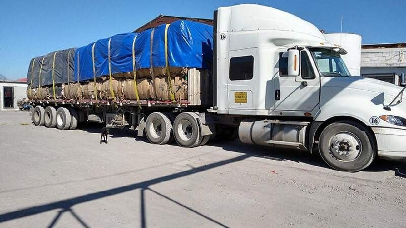 Whats_App_Image_2026_04_26_at_6_48_02_PM_c092dba657