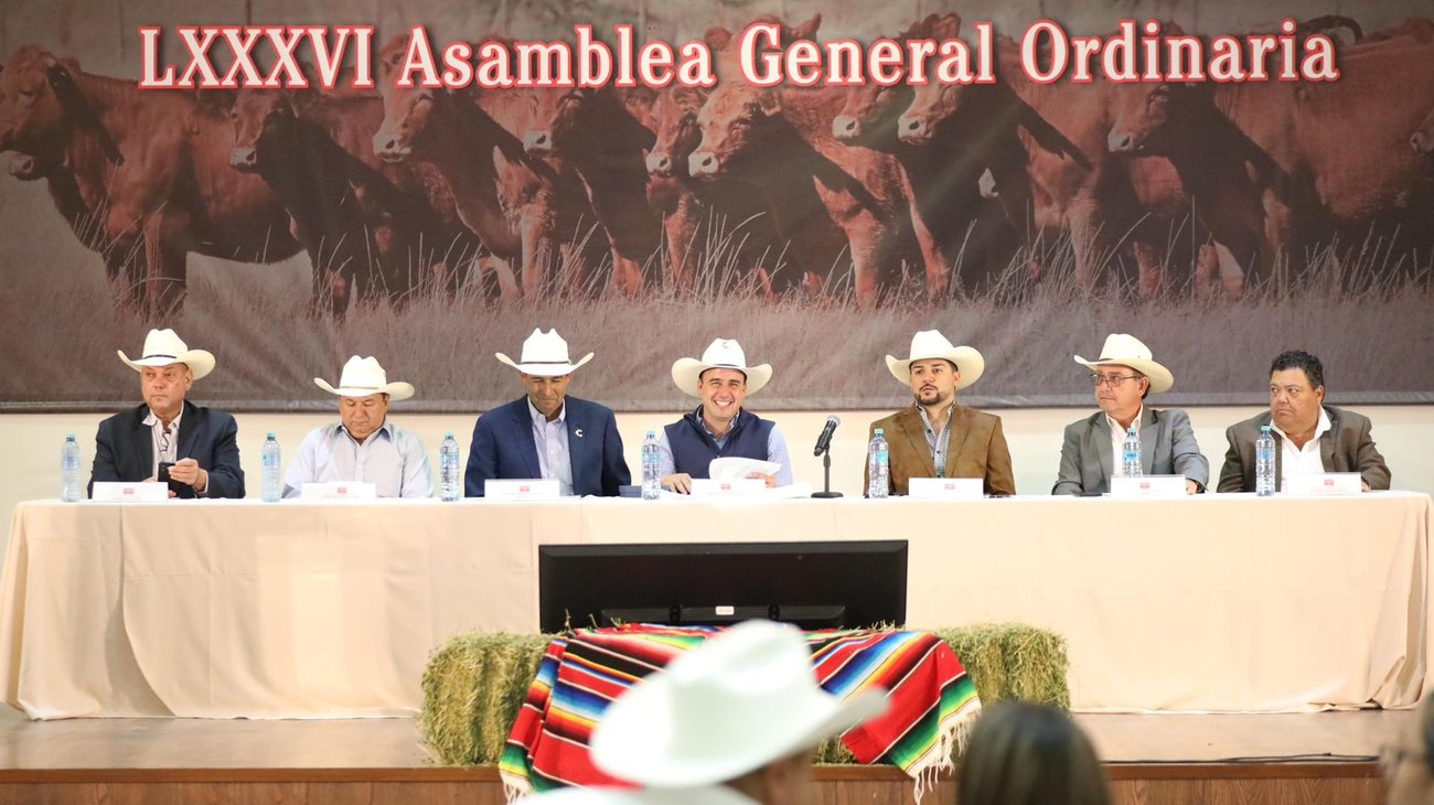 Whats_App_Image_2026_04_27_at_6_33_02_PM_7c0c30fcee