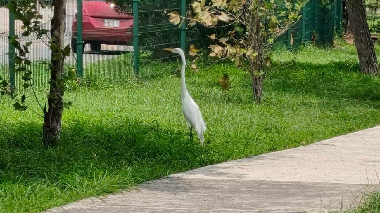 Whats_App_Image_2026_04_28_at_7_12_46_PM_1_0b5799757d