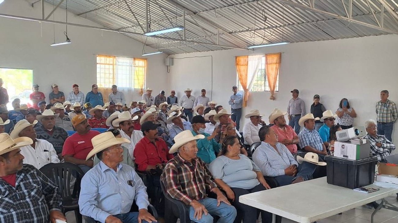 Refuerzan en Coahuila combate al gusano barrenador del ganado