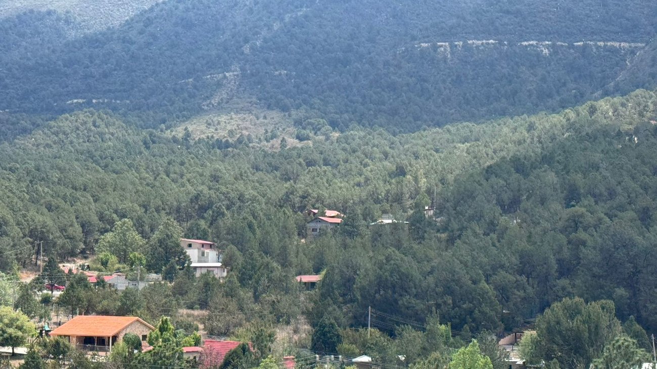Coahuila aplicará multas a venta irregular de terrenos campestres