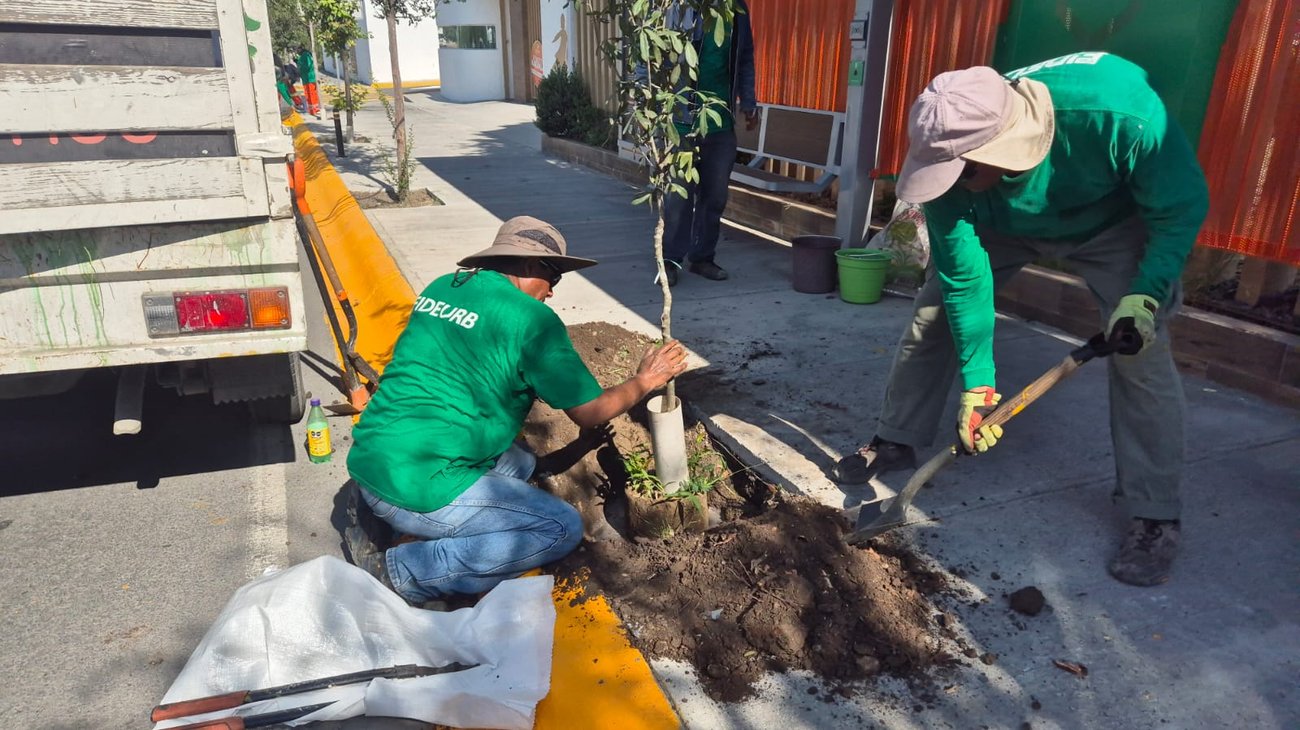 Refuerzan limpieza y rehabilitación en zona metropolitana