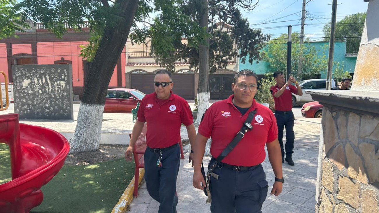 Retiran árboles en riesgo tras lluvias en Ramos Arizpe