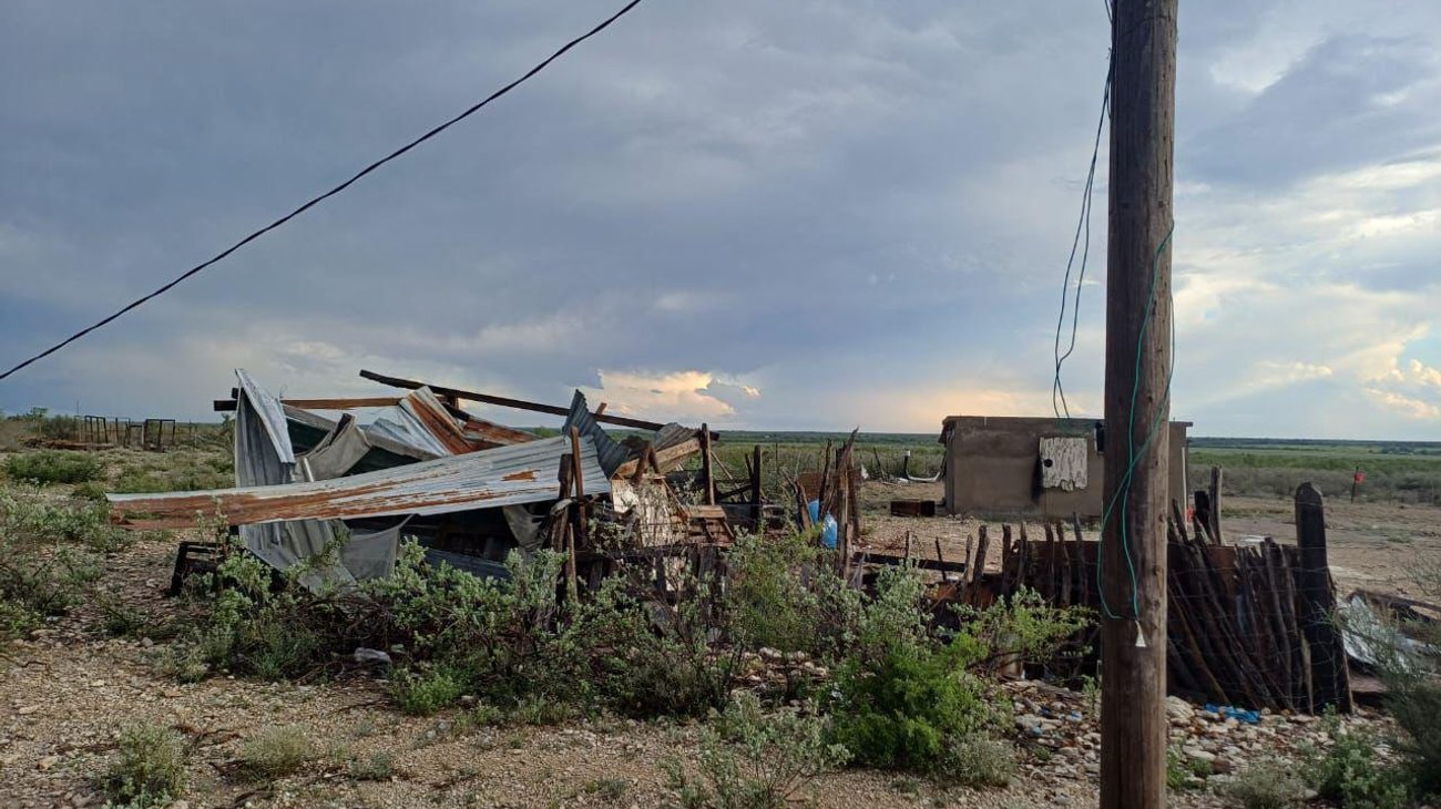 Tornados dejan daños en viviendas y árboles caídos en Coahuila