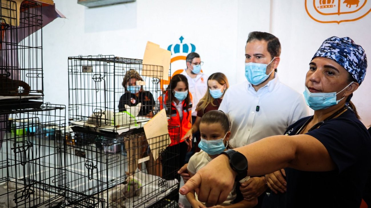 Realizan NL y Guadalupe jornada de esterilización a mascotas