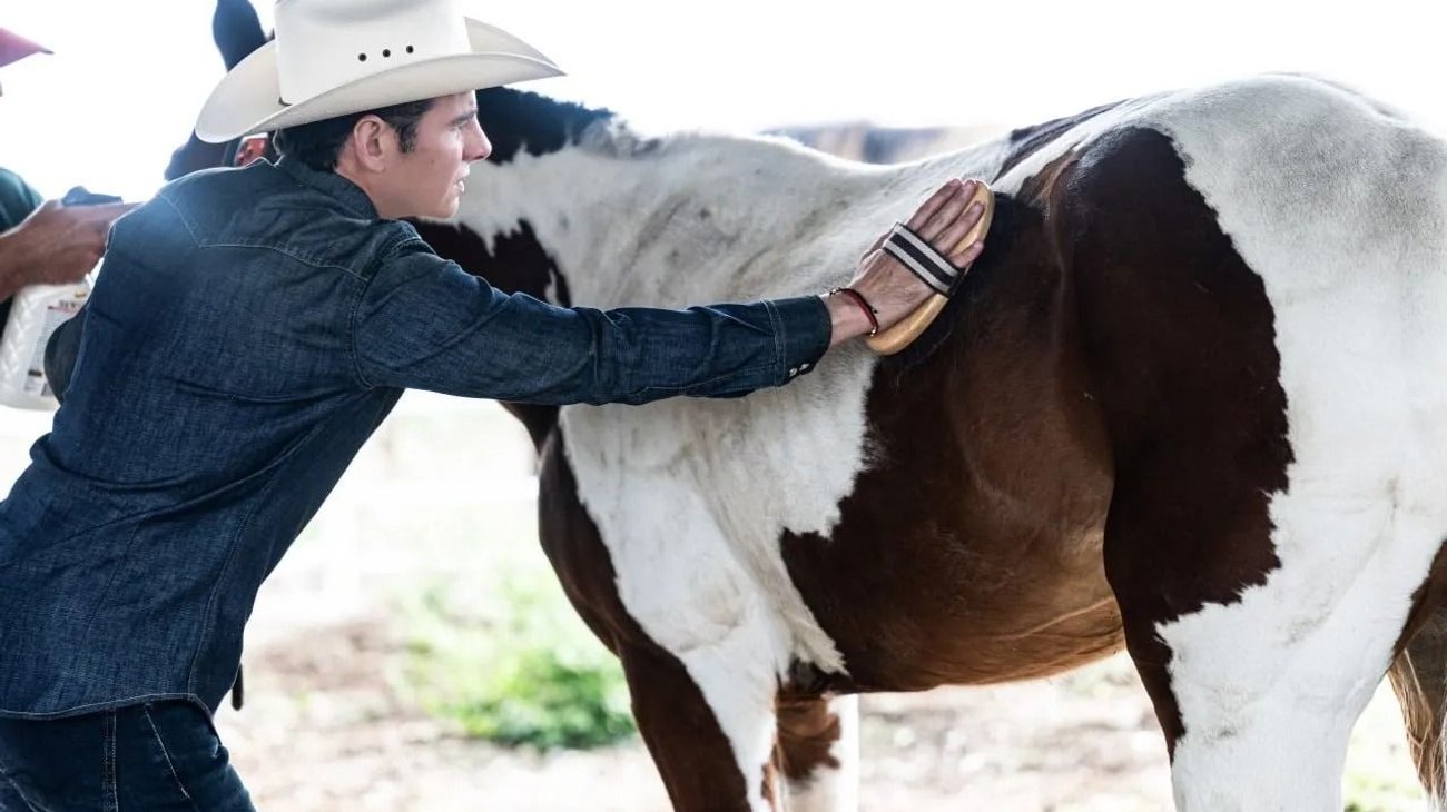 Miguel Flores crea “Kawayo” un megarefugio para caballos