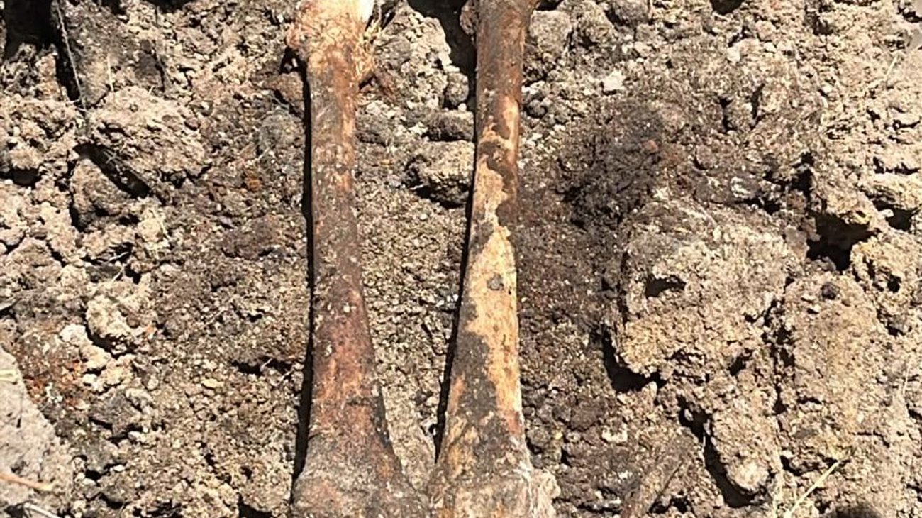 Localizan presunta fosa clandestina durante jornada de búsqueda