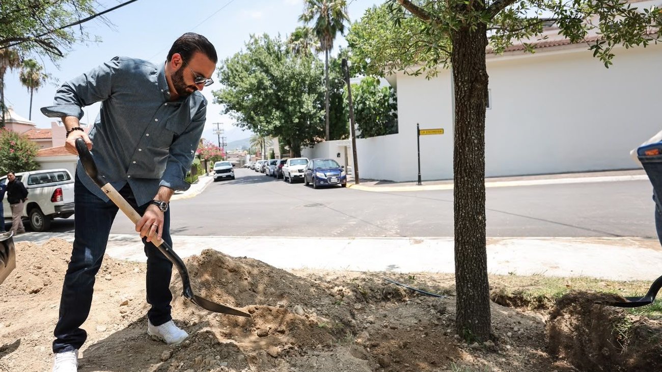 San Pedro planta árboles del programa 'Gigantes Verdes'