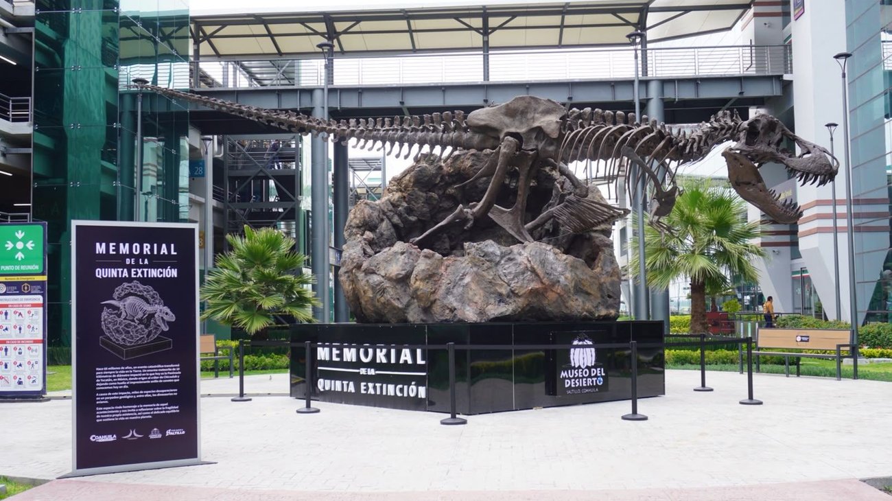 Dinosaurios de Coahuila reciben a viajeros en el AIFA